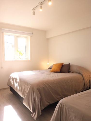 alquilar SOApart 3 en El Chaltén