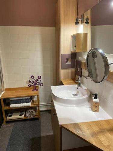 une salle de bain avec un lavabo blanc et un miroir dans l'établissement Logement - 53 M2 - proche coeur impérial, à Metz
