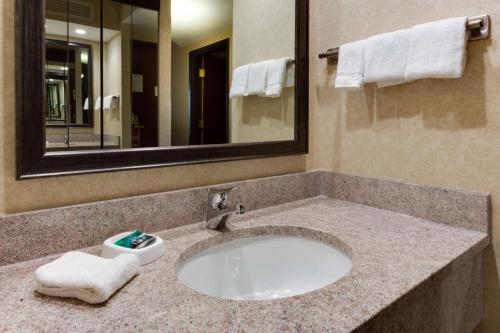 eine Badezimmertheke mit einem Waschbecken und einem Spiegel in der Unterkunft Drury Inn & Suites Birmingham Grandview in Birmingham