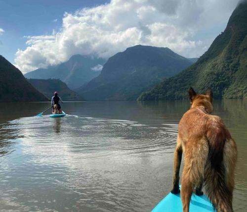 a dog standing on a kayak in the water with a man in a canoe at Casa Lanzo, montañas y lago in Macanal
