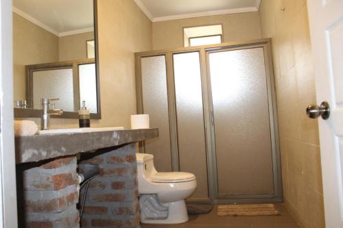 La salle de bains est pourvue de toilettes, d'une douche et d'un lavabo. dans l'établissement Casa principal del Fundo con la mejor Vista del Maule, à Comalle