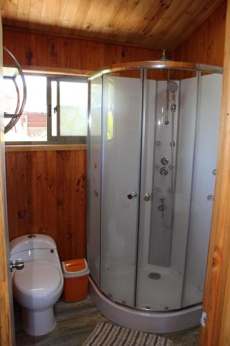 a bathroom with a shower and a toilet at Acun Lihuen in Cobquecura
