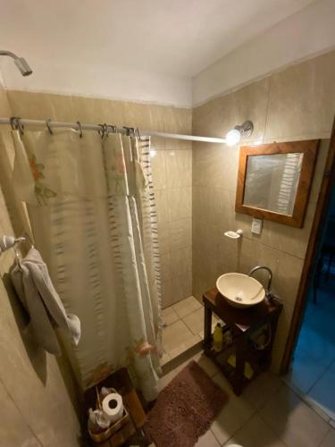 a bathroom with a shower and a sink at Finca Los Chichelos in Santiago del Estero