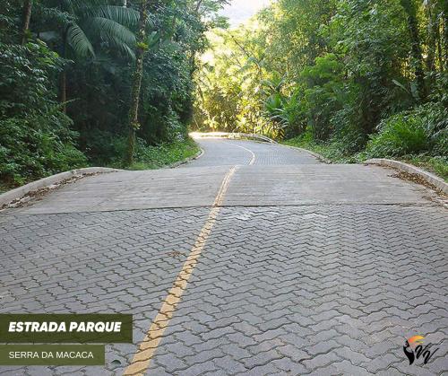 an empty road in the middle of a forest at Pousada Fazenda Vale Verde in Sete Barras