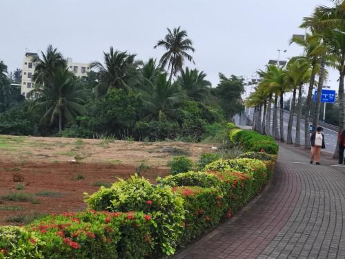 a walkway in a park with flowers and palm trees at Olioinn B&B in Wenchang