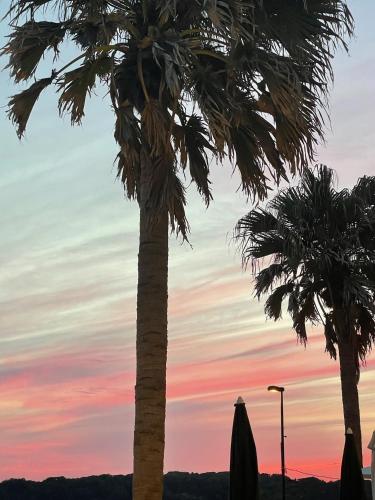two palm trees with a sunset in the background at GOOD MORNING ZAIMOKUZA in Kamakura