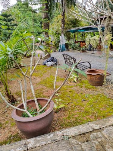 Taman di luar Palm Tian Homes A20