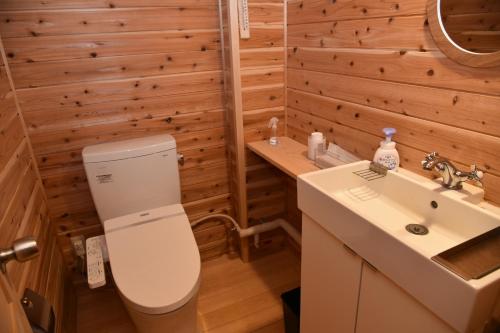 a bathroom with a toilet and a sink at ペンション イメージハウス in Hara
