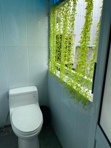 a bathroom with a toilet and a window with green plants at Lu Peaceful Homestay in Da Nang