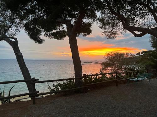 un banco sentado junto al océano con una puesta de sol en Almadrava Paradise en Rosas