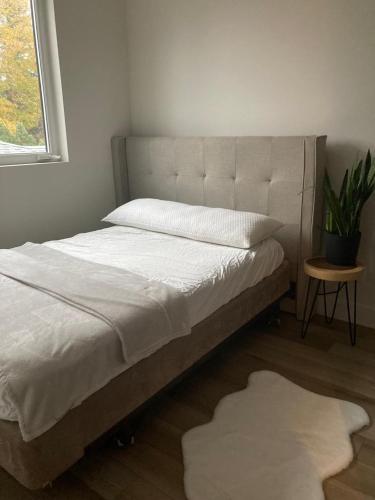 ein Bett in einem Schlafzimmer mit einer Pflanze und einem Fenster in der Unterkunft Modern and cozy 4-Plex with a view! (1Bed, 1 Private Bathroom) in Kelowna