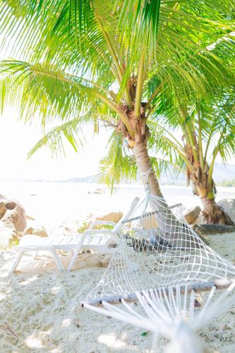a hammock under a palm tree on a beach at Lamai Bayview Boutique Resort in Lamai
