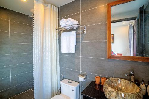 a bathroom with a sink and a toilet and a mirror at Phuoc Dat Riverside Homestay Hoi An in Hoi An