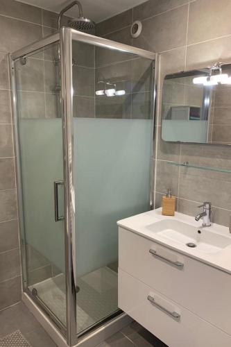 une salle de bain avec douche et lavabo dans l'établissement Le Globetrotteur T3 pour 4 pers 70m2 au cœur d'Annecy, à Annecy