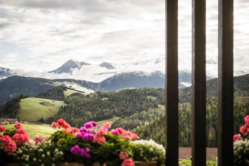 a view of mountains from a window with flowers at La Majun Fornellahof in Antermoia