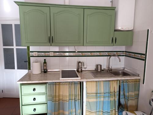 a kitchen with green cabinets and a sink at Casa Pepa in Bubión