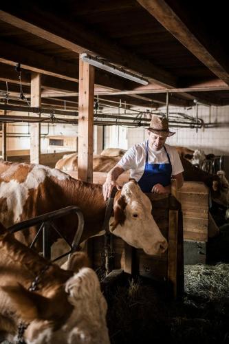 a woman is petting a cow in a barn at La Majun Fornellahof in Antermoia