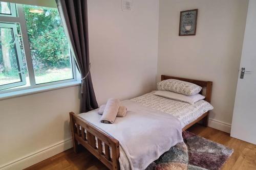 a bedroom with two twin beds and a window at Sweethaven Chalet in Killarone