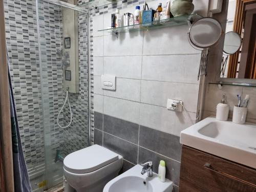 y baño con aseo, lavabo y ducha. en La Casa di Paulina, en Cerveteri