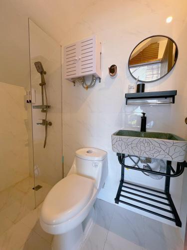 a bathroom with a toilet and a sink and a mirror at AoJing Diving Resort澳鲸潜水温泉店 in Dauin
