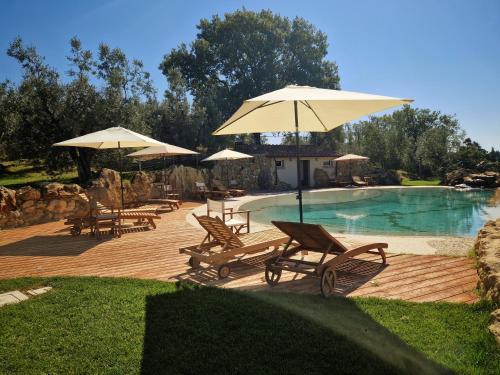 een groep stoelen en parasols naast een zwembad bij Agriturismo Ai Massi in Casale Marittimo