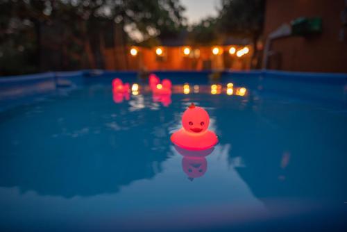 a toy duck in a swimming pool at night at The Pirates Lodge Milina - Chill-out in Strandnähe in Milína