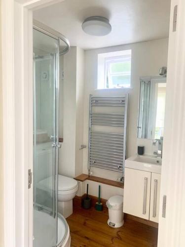 a bathroom with a toilet and a glass shower at Delightful Ely house Bright and warm with cathedral view in Ely