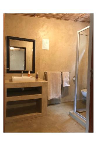 a bathroom with a sink and a mirror and a shower at Blue Mountain View Cottages in Clanwilliam