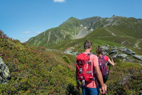 ファームステイの近くで見られる自然の景観