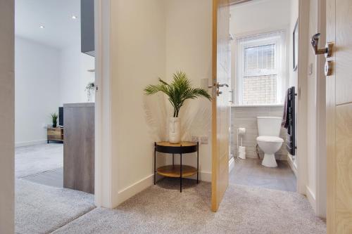 a bathroom with a toilet and a plant on a table at 279 Ashley Road in Parkstone
