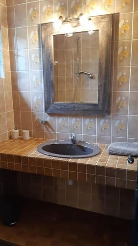 une salle de bain avec un lavabo et un miroir dans l'établissement jolie maison de campagne à 100 m de l'étang, à Rhodes