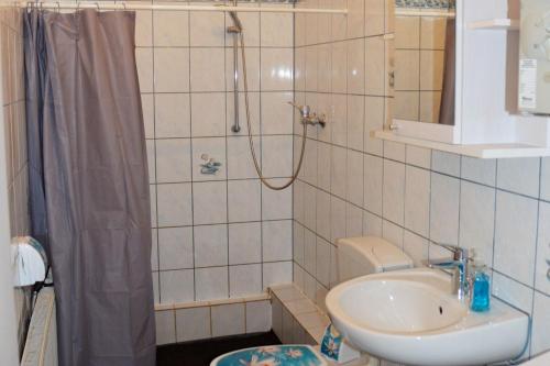 a bathroom with a shower and a toilet and a sink at Work & Stay in Hagen in Hagen