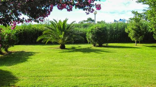 Two-room apartment 150 meters from the beach - 4 people - Ghisonaccia
