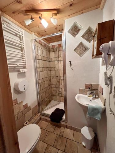 a bathroom with a shower and a toilet and a sink at Appartement Esprit Chalet 71m² in Briançon