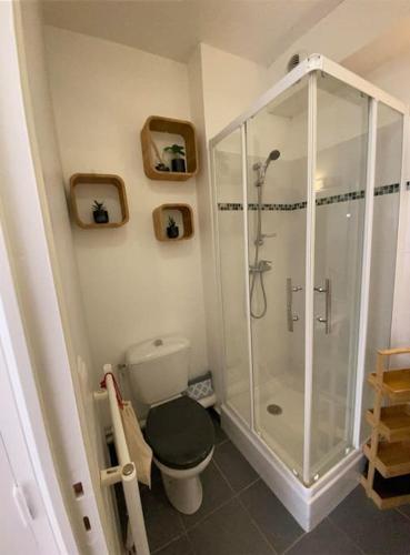 une salle de bain avec toilettes et douche en verre dans l'établissement Chez Renata (Hyper centre), à Dieppe