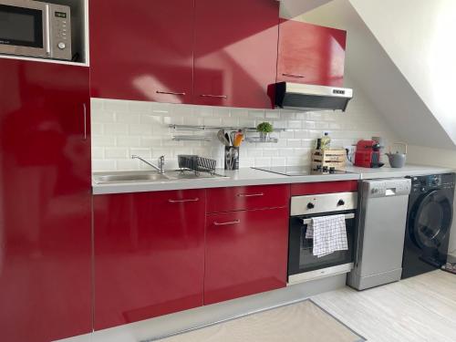- une cuisine rouge avec un évier et un lave-vaisselle dans l'établissement Magnifique logement au pied du Château, à Blois
