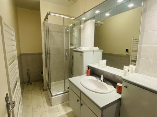 La salle de bains est pourvue d'un lavabo et d'une douche. dans l'établissement Place de la cite, à Rodez