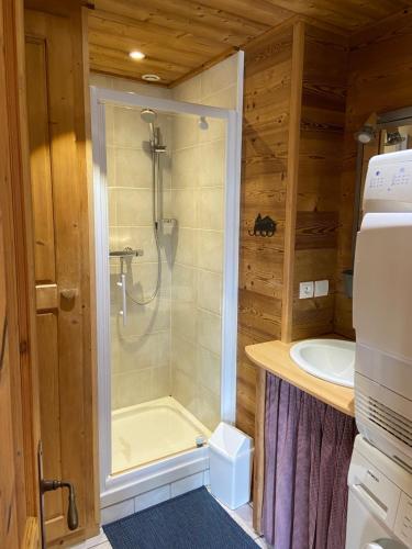 a bathroom with a shower and a sink at Chalet Robin (6 personnes) in La Lechere