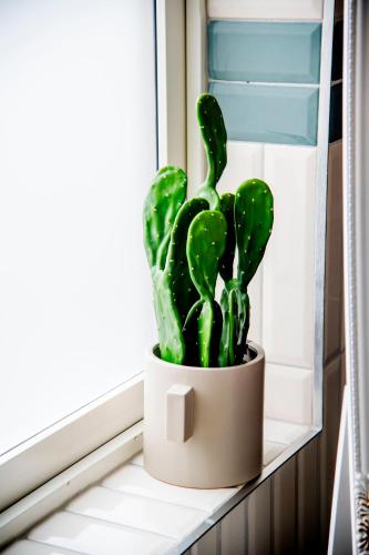 a green cactus sitting on a window sill at Park Hotel Linköping Fawlty Towers in Linköping