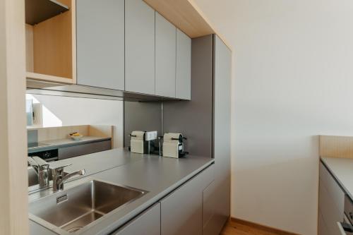 Kuchyň nebo kuchyňský kout v ubytování RELAX APARTMENTS An der Lage Hochgraßnitzberg