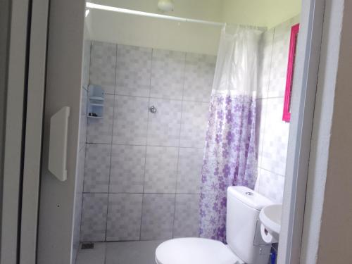 baño con ducha y aseo blanco en Suíte Canto Caiçara, en Ubatuba