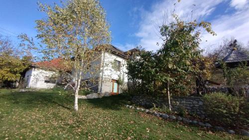 una casa blanca con dos árboles en el patio en Casa Barbulescu, en Vaideeni