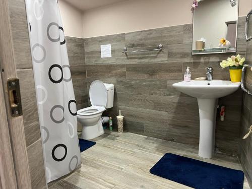 エレバンにあるYerevan's Heartの洗面台とトイレ付きのバスルーム
