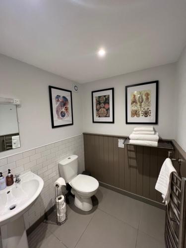 a bathroom with a toilet and a sink at White Horse in Maldon
