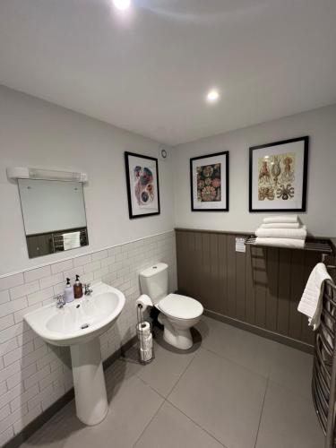 a bathroom with a toilet and a sink at White Horse in Maldon