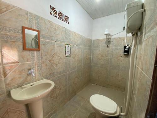 een badkamer met een wastafel, een toilet en een douche bij Redario BOTOS DE ALTER in Alter do Chao