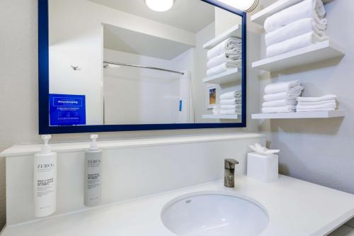 uma casa de banho com um lavatório e um espelho em Hampton Inn Titusville/I-95 Kennedy Space Center em Titusville