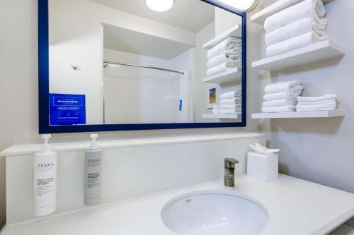 a bathroom with a sink and a mirror at Hampton Inn Titusville/I-95 Kennedy Space Center in Titusville