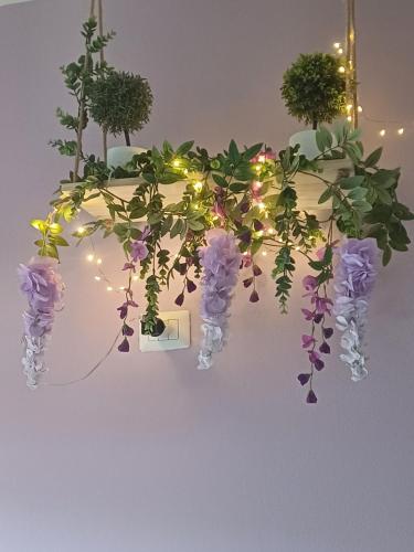 une plante suspendue avec des lumières et des fleurs sur un mur dans l'établissement Le Stanze di Bimba, à Terni