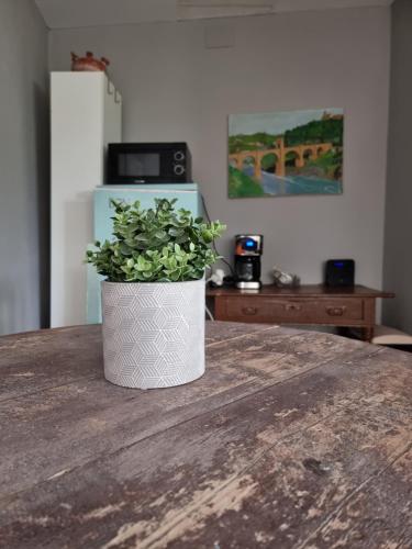 a potted plant sitting on top of a wooden table at Albergue la Fontanina in Mata de Alcántara